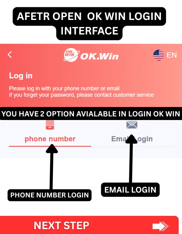 after open ok win login interface